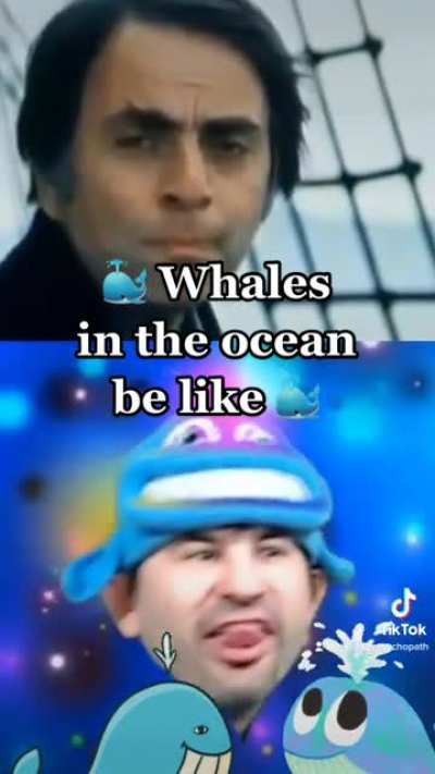 Did Carl Sagan&rsquo;s grandma knit that whale hat for you?