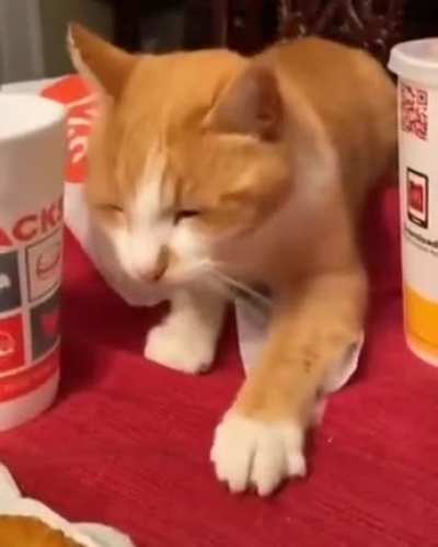 Touchy da fishy