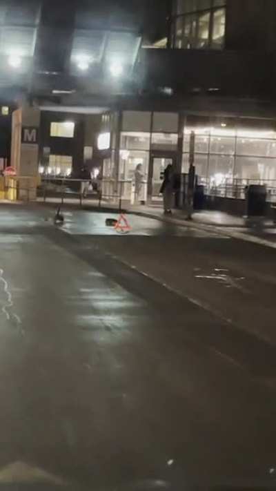 How polite are Canadians? 🇨🇦 polite enough to leave two Canadian Geese chilling in a bus lane at a hospital after a rain fall by putting up a pylon so they won&rsquo;t be disturbed 😝
