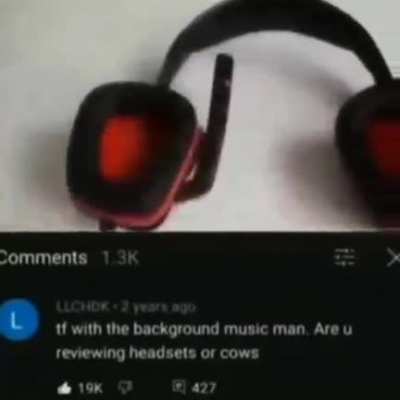 cows