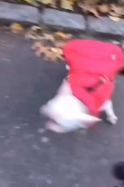 Uaa
