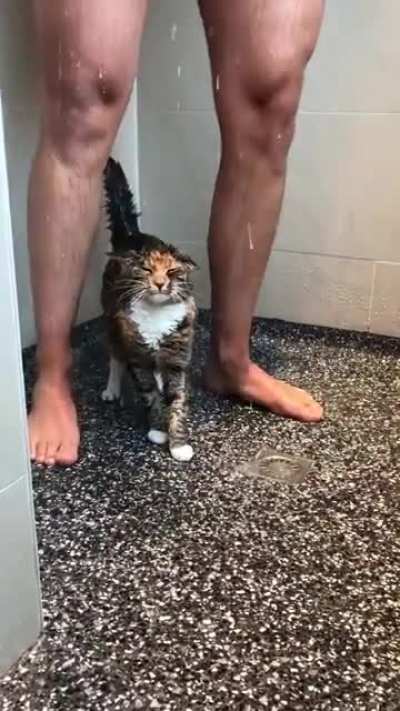 Cat even hangs with his bro in the shower
