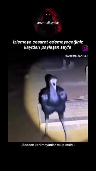 Ya bune amk SLDLANKDPANCMFLLMXNRMMCNCMC