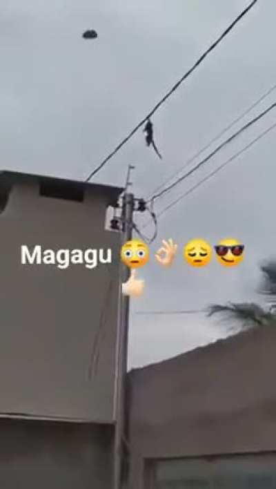 Monkey= Macaco so Monke= Magago