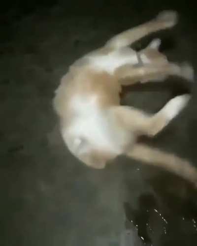 Hmm