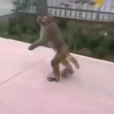 La mina que me gusta:me gustan los hombres que patinan Yo automáticamente: