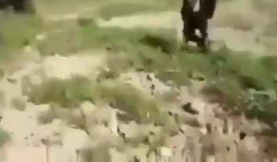 Myanmar military Tatmadaw raiding a village in Magway, central Myanmar.