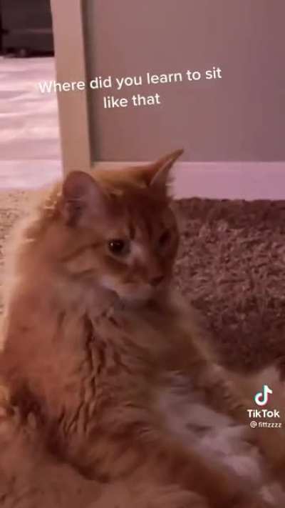 Where&rsquo;d you learn to sit like that?