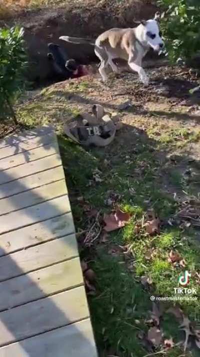 Dumbass kid tries jumping over dirty water, gets intercepted by dog
