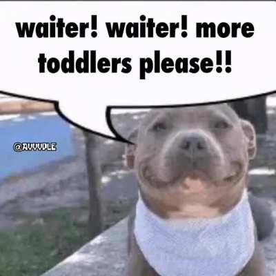 waiter!!
