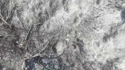UA 81st Brigade "SowaFM" drone team keeps the Russian trenches under pressure with their drone-dropped munition.  April 9, 2024