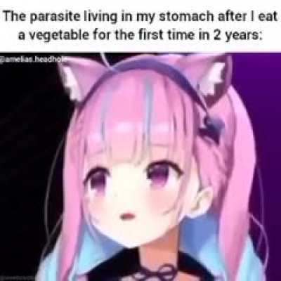 rule