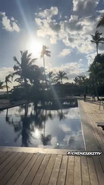 Kittyyy, well damn
