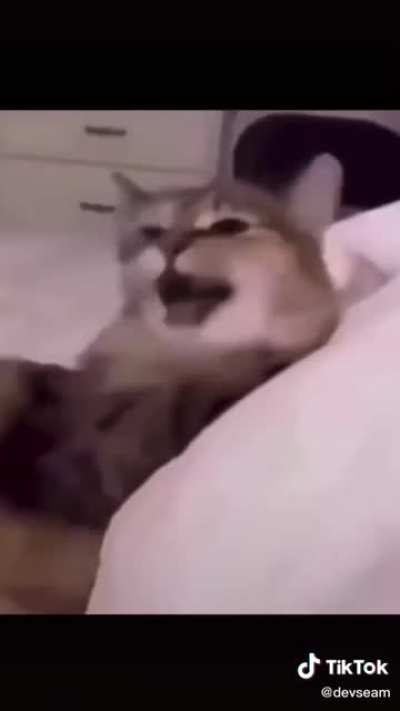 Why haven&rsquo;t I seen half of these videos