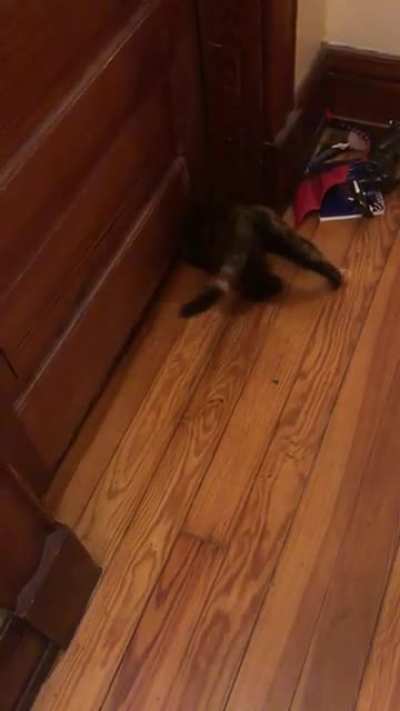 Under the door