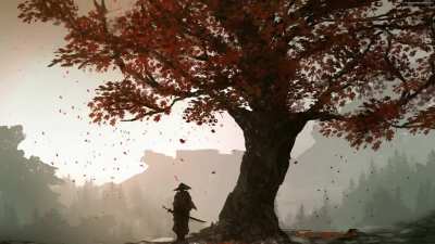 Animated Samurai