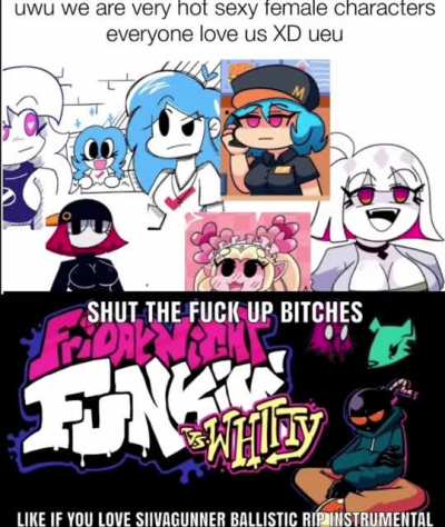 don&rsquo;t let stupid bitches distract you from listening to awesome music