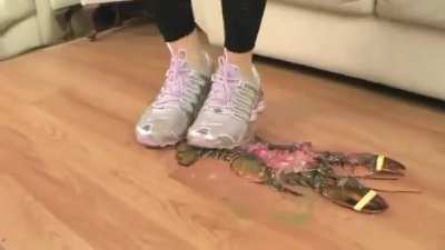 Elisa flattens Lobster in Nike's