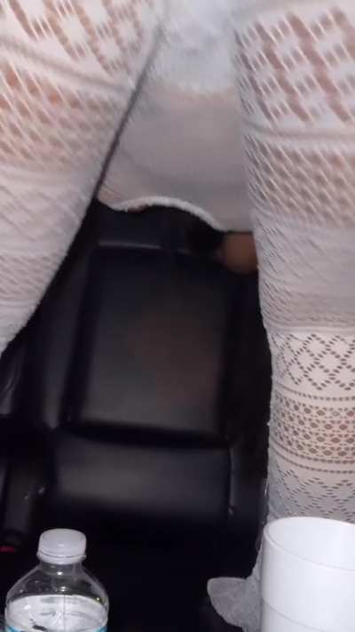  Big Ass Ari
