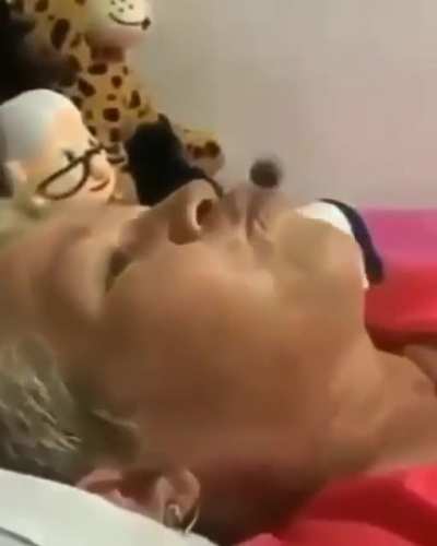 Noo, abuela!