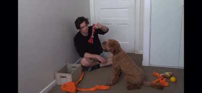 That didn&rsquo;t work, also doggie