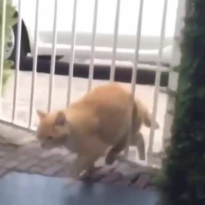 Why you make me stuck