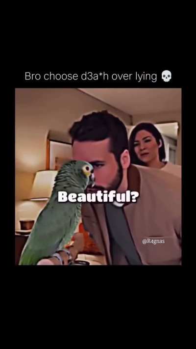 🗿🗿