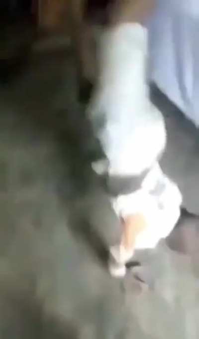 Борщ