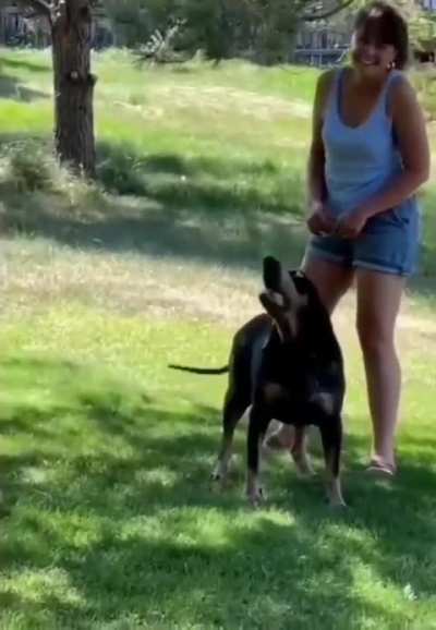Dog says hello!!!