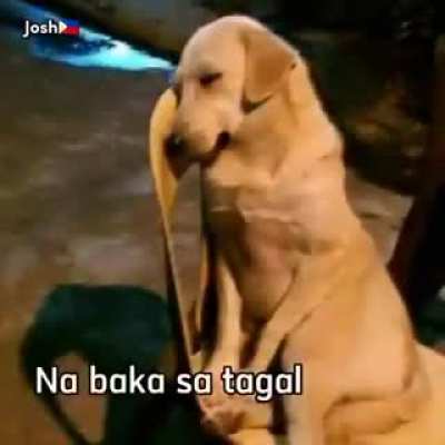 nahulog