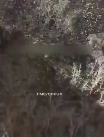 Прыжок к дантисту