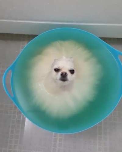 "You merely adopted the tub. I was born in it, molded by it"