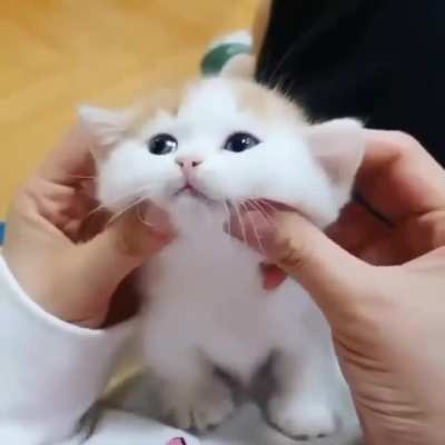 Rubbin da cheeks