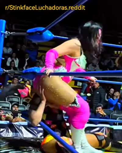 Stinkface La Perra