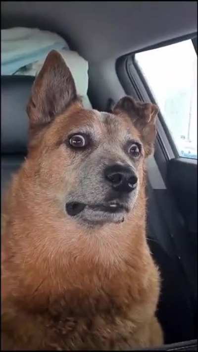 Wut????!
