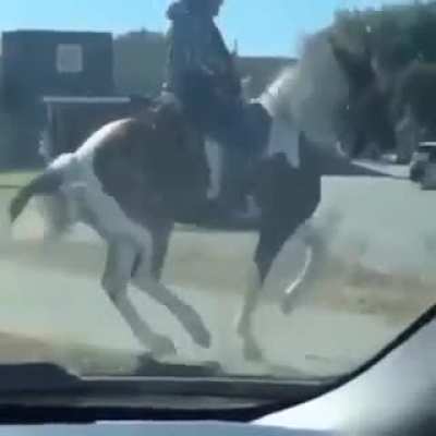 Simplesmente incr&iacute;vel