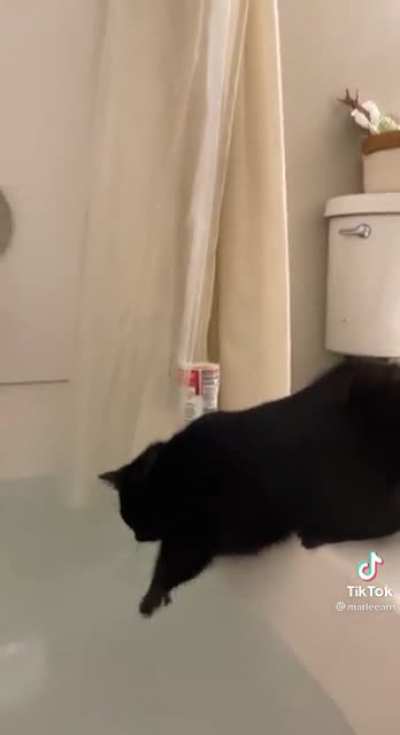 Touch Tha Water