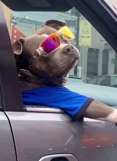 Just chillin dwag.