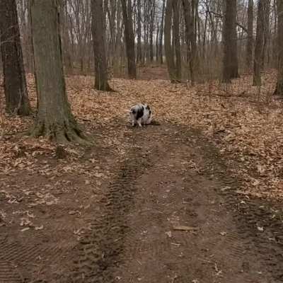 Walks are boring. Holes are better.
