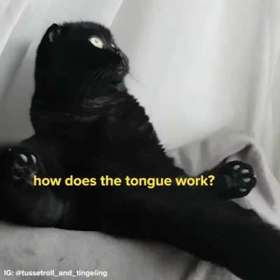 What is my purpose?