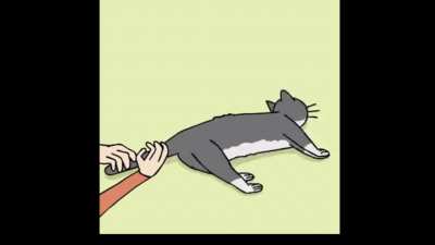 Video amputation