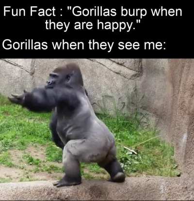 It's funny because it's true.