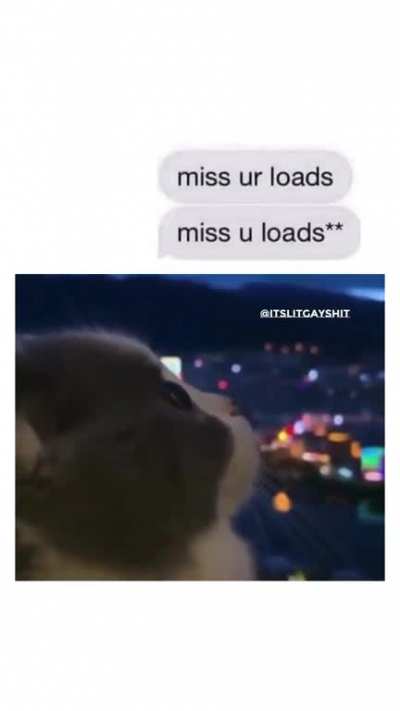 gay🐱irl