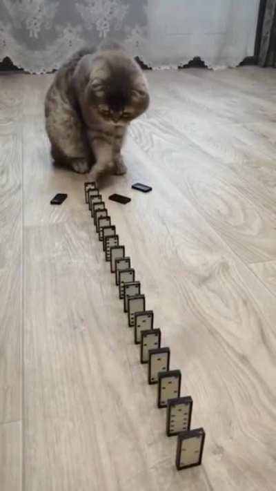 Опа