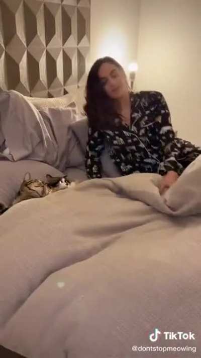 And they say having pets is fun, Part 2.