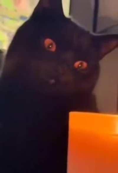 Sound On