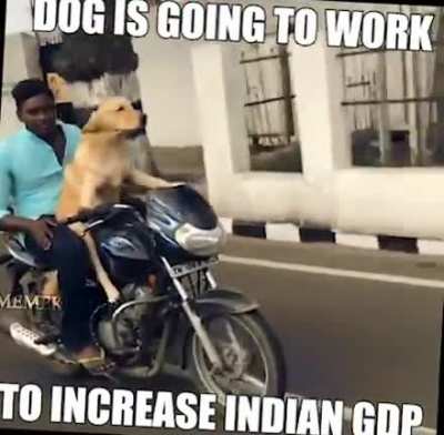 oc memekumar