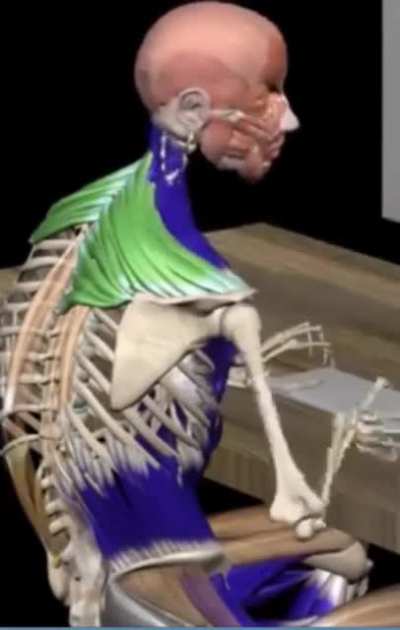 Me when fart