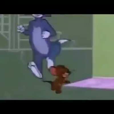 tom and jerry got real 🤨