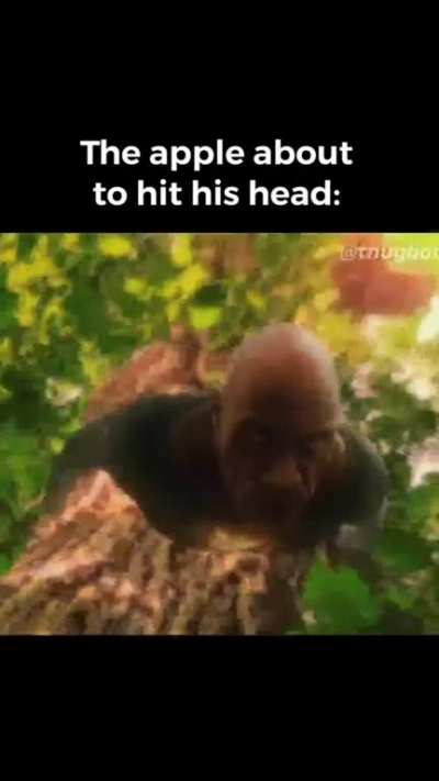 gravity